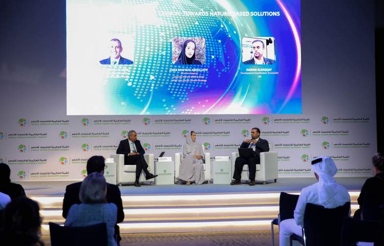 The World Green Economy Summit 2024 was held