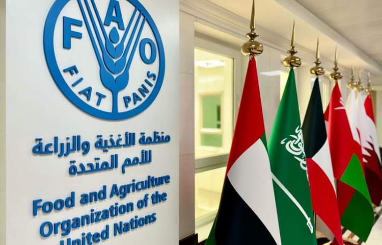 FAO announces launch of national program "plant to Emirates"