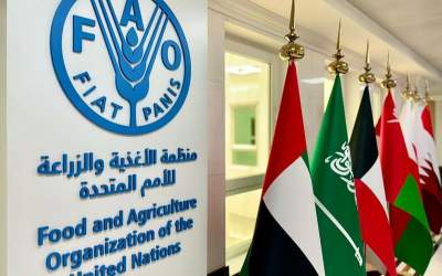 FAO announces launch of national program "plant to Emirates"