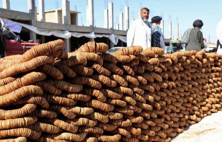 The export of Kandahar figs reached 7 thousand tons