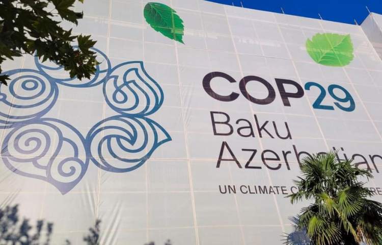 WGEO announces participation in COP29