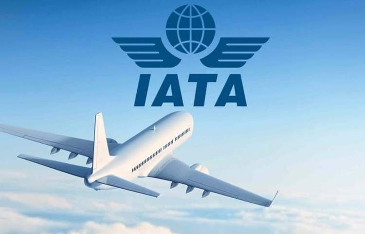 IATA: Total industry revenues to exceed $1 trillion in 2025