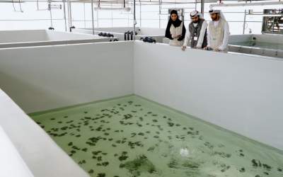 UAE launches first freshwater oyster pearl aquaculture project in the region