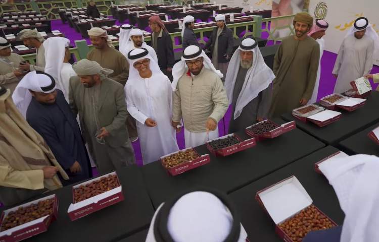 Al Ain Dates Festival begins