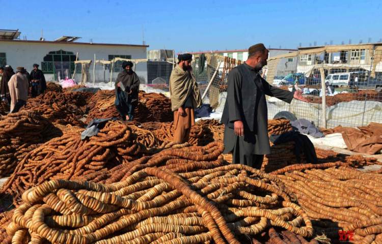 Over 9,000 tons of dried fruits exported from Kandahar to China