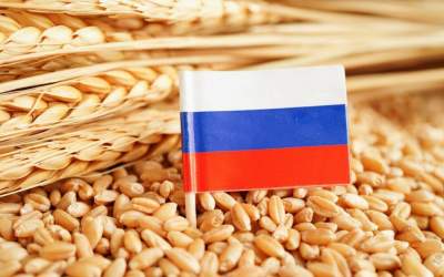 Russia’s grain exports hit 72 million tons in 2024