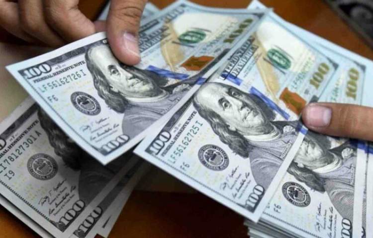 Afghanistan bans use of US dollar in trade transactions