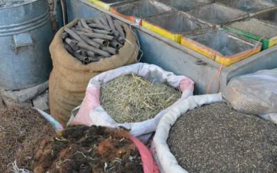 Afghanistan earns $20 million from medicinal plant exports